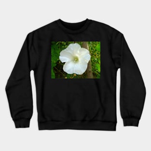 Flower Crewneck Sweatshirt